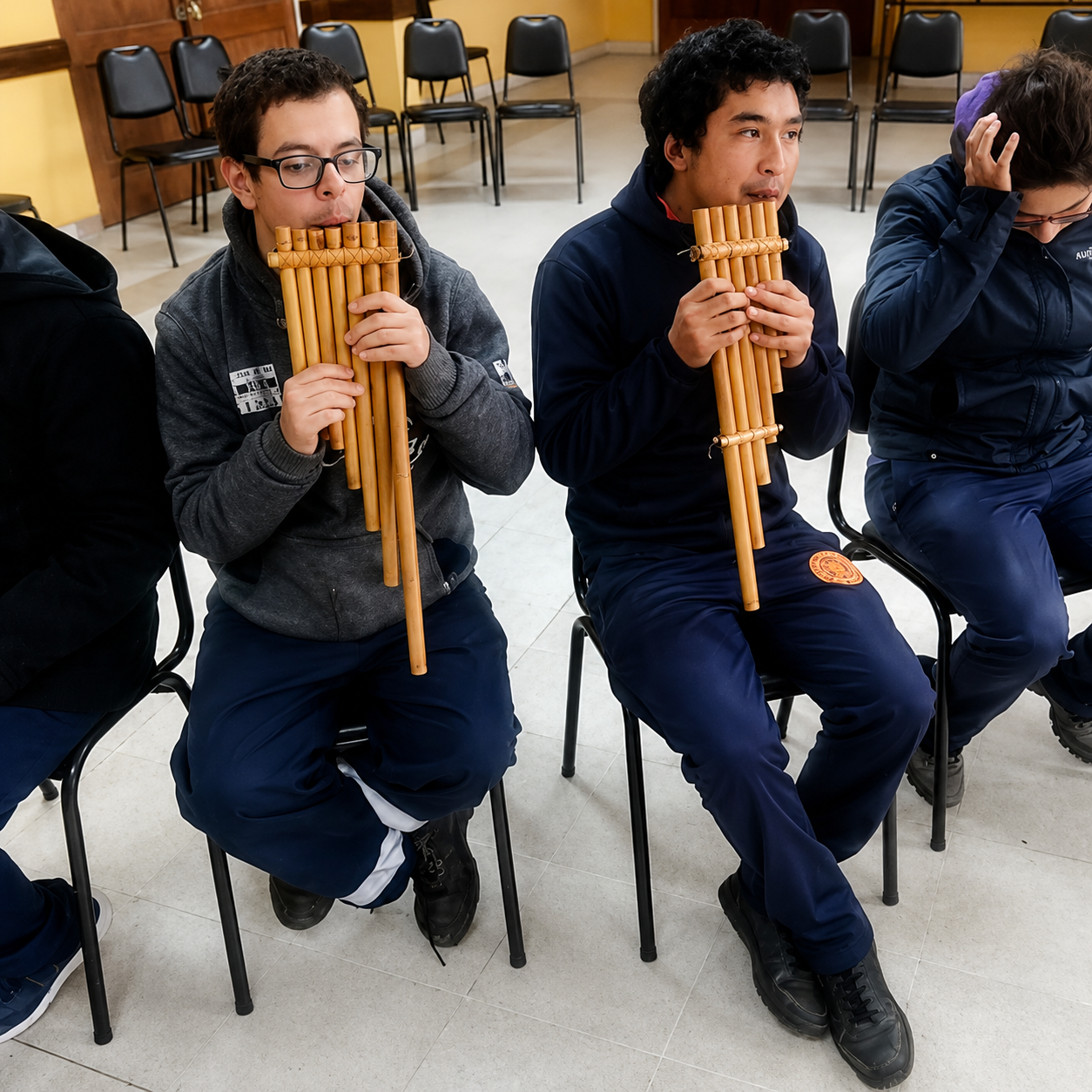 Asignaturas Complementarias